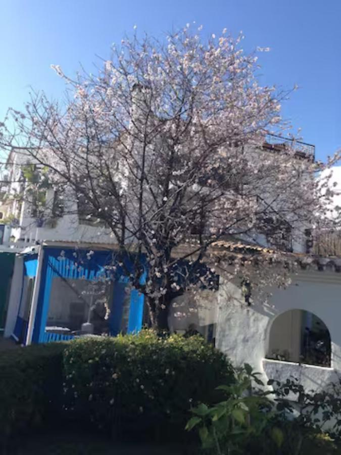 Pueblo Evita Apartment In Exclusive Holiday Complex بينالماذينا المظهر الخارجي الصورة