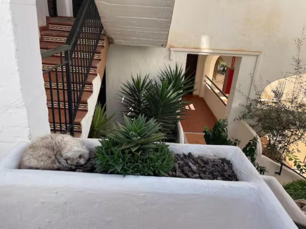 Pueblo Evita Apartment In Exclusive Holiday Complex بينالماذينا المظهر الخارجي الصورة